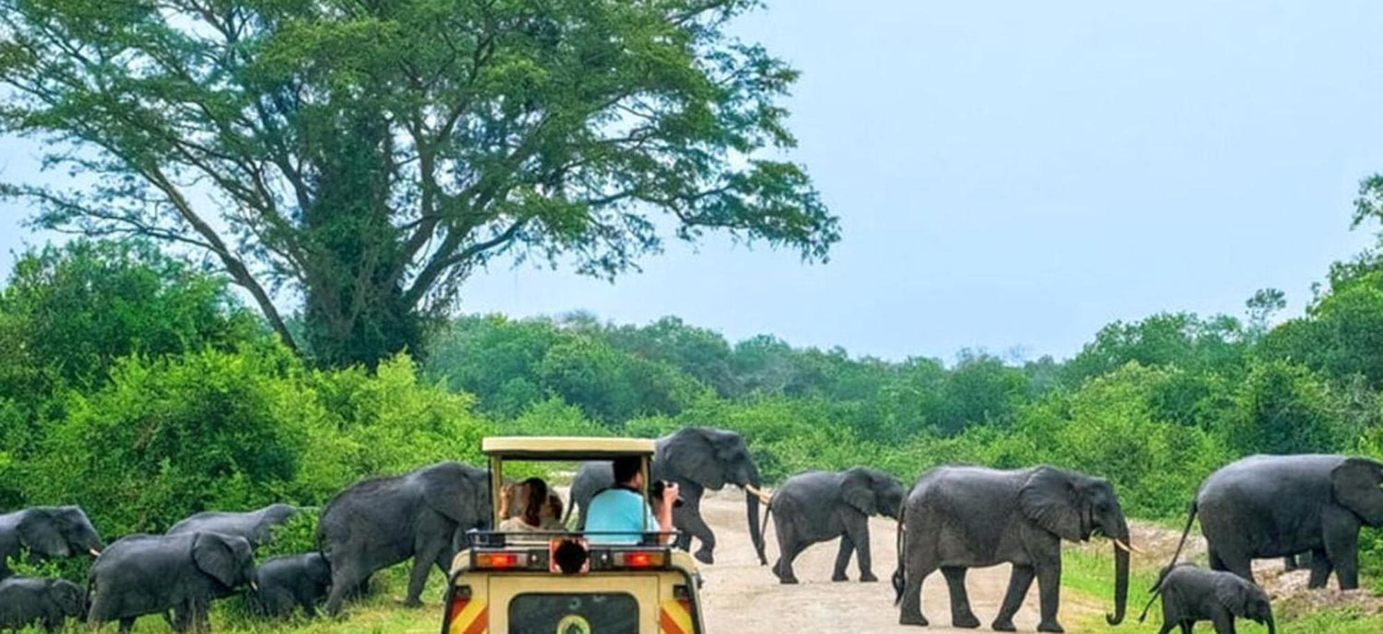 Family Resort Удавалаве Екстер'єр фото